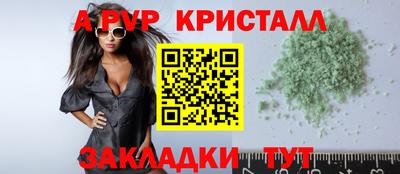 стаф Будённовск