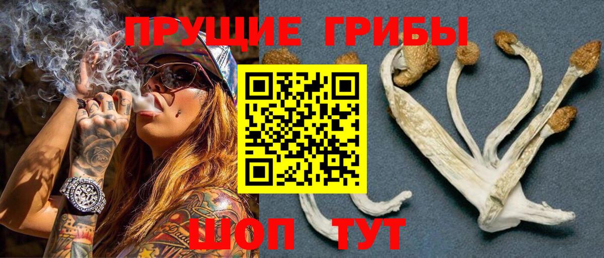 Галлюциногенные грибы MAGIC MUSHROOMS  Вход с VPN  Карасук 
