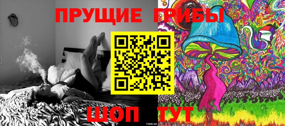 Галлюциногенные грибы мухоморы Карасук